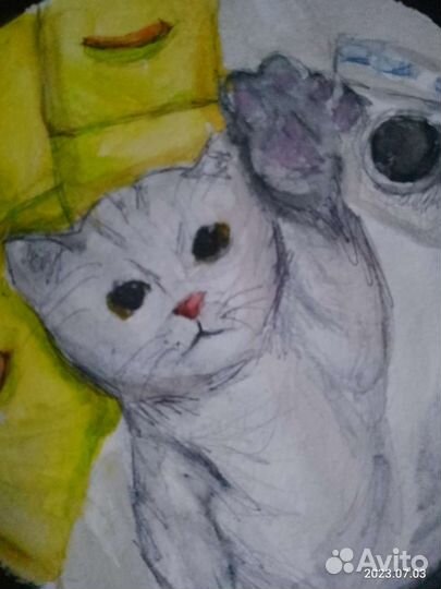Картина с котиком