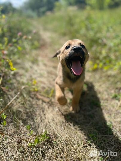 Ищем дом Джеку