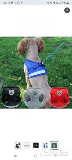 Шлейка для собак