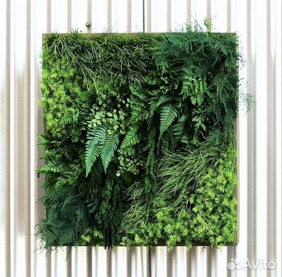 Панно из мха 50 см