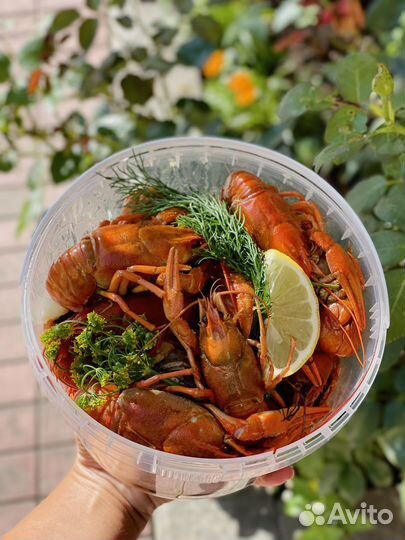 Раки вареные.Бронь на свежих и вареных.Его мало
