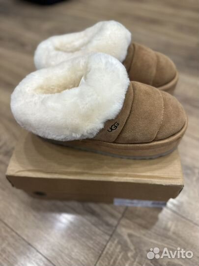 Ugg tazzlita chestnut