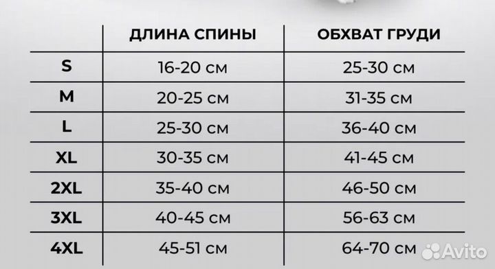 Костюм для собаки маленькой породы