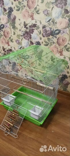 Клетка среднего размера для попугая