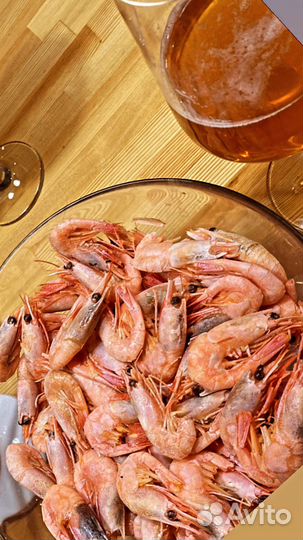Креветка северная