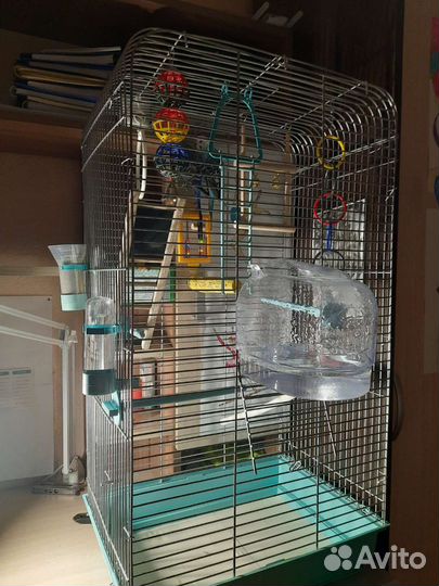 Попугай с клеткой