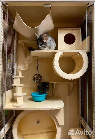 Витрина для шиншиллы дегу вольер клетка