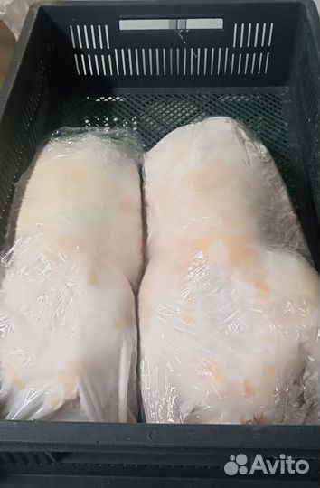 Курочки несушки и утята