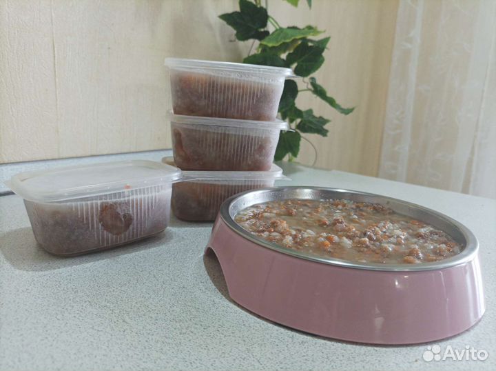 Корм для кошек