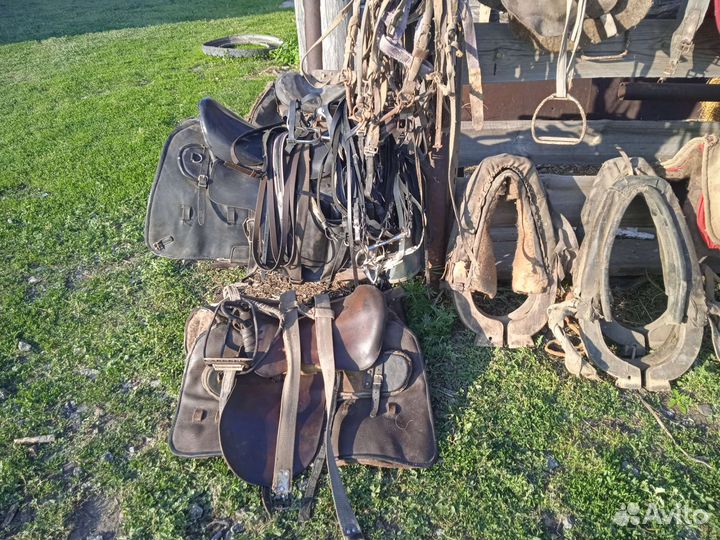 Все для лошади