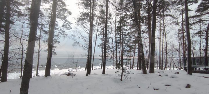 Дом 230 м² на участке 50 сот.