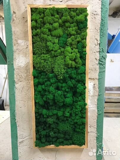 Панно из стабилизированного мха