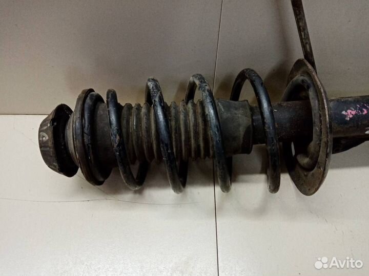 Амортизатор передний левый Toyota Ractis NCP100 20