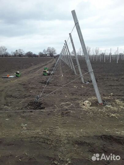 Сады под ключ