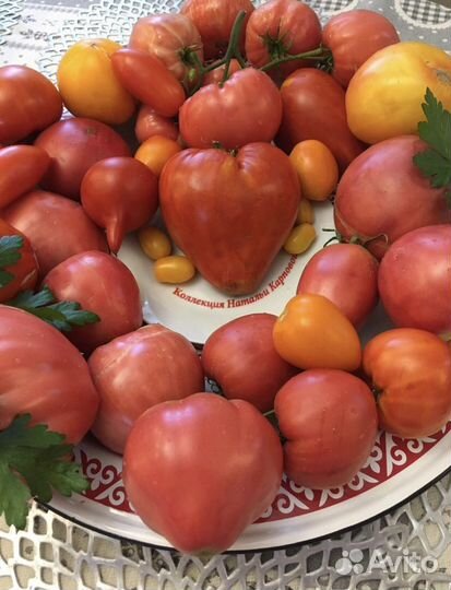 Коллекционные семена томатов