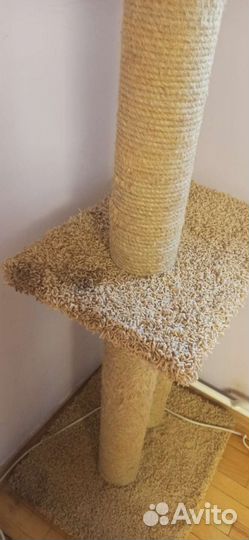 Когтеточка для кошек бу