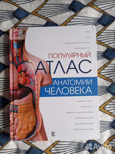 Популярный атлас анатомии человека