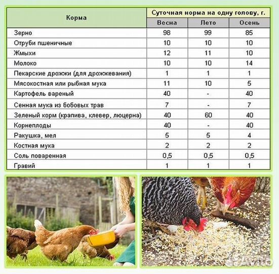 Ракушка кормовая для птиц 1 кг