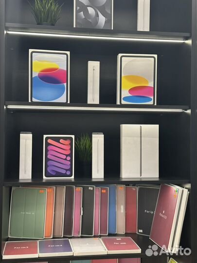 iPad Mini 6 64GB Purple Новый