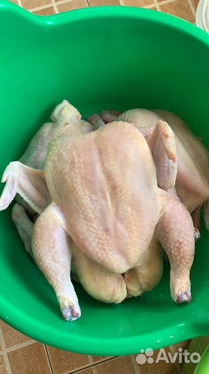Яйцо куриное домашнее
