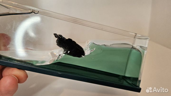 Антистресс Пиратский корабль Черная жемчужина