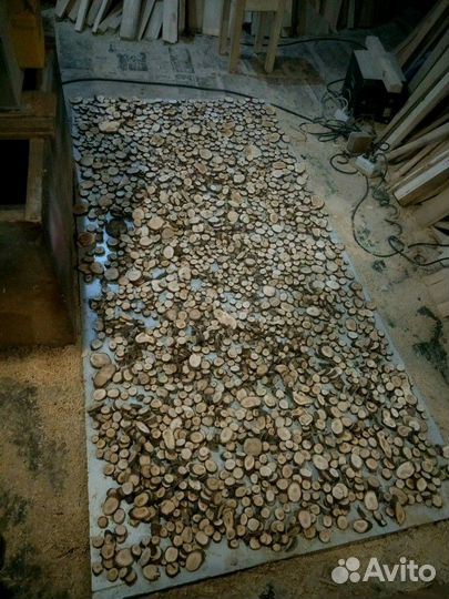 Спилы разных пород дерева