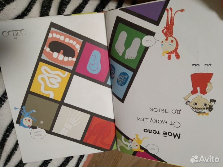 Анатомия для детей