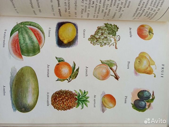 Англо-русский словарь с иллюстрациями