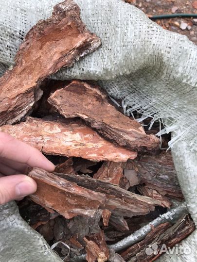 Кора сосновая