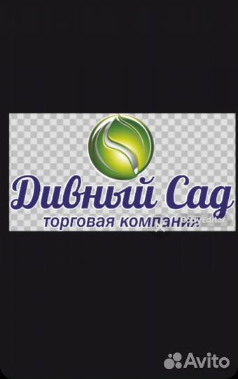 Торговый представитель