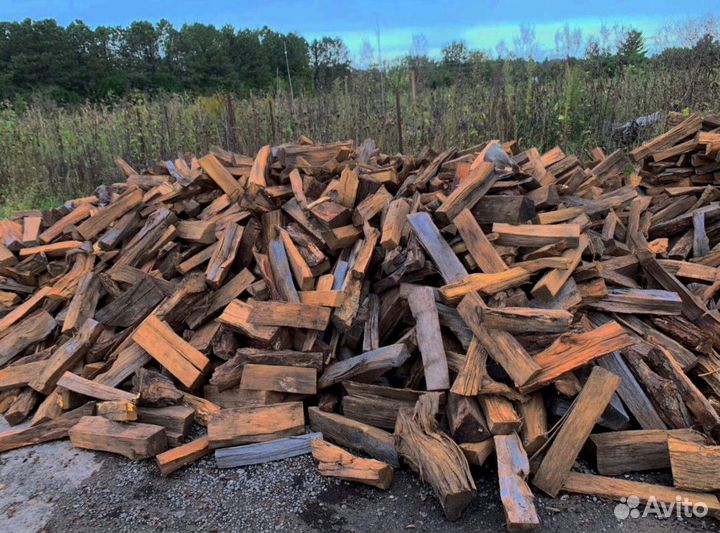 Дрова Береза