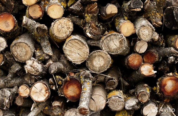 Дрова березовые