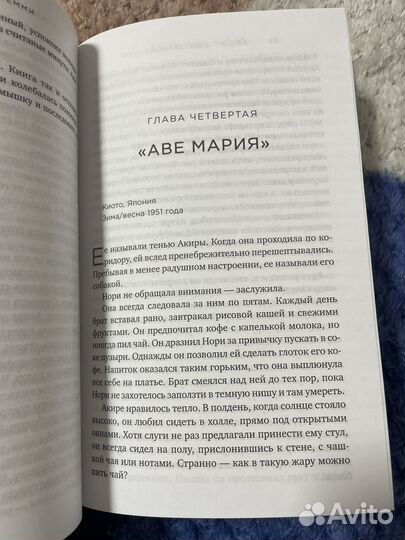 Книга Аша Лемми 