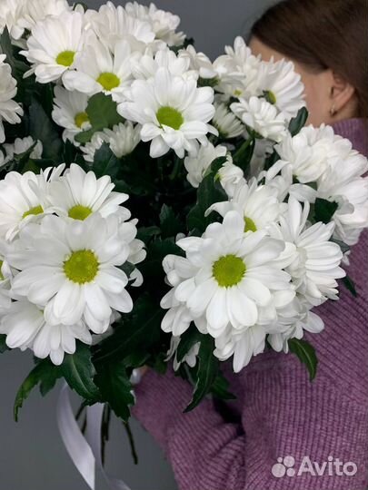 Букет из 9-ти кустовых ромашковых хризантем