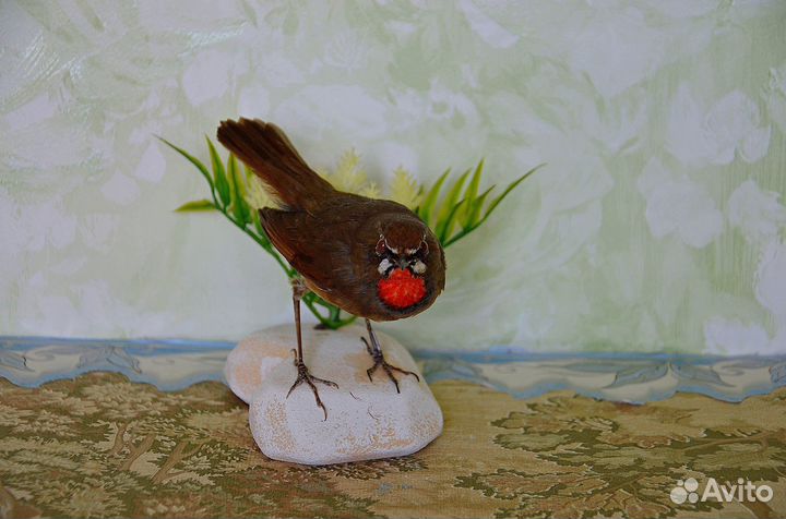 Чучело соловья