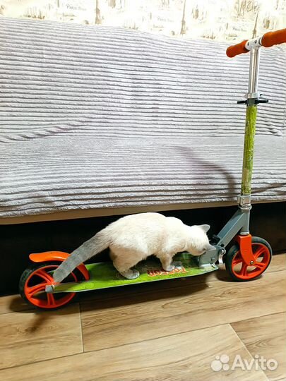 Самокат с большими колесами