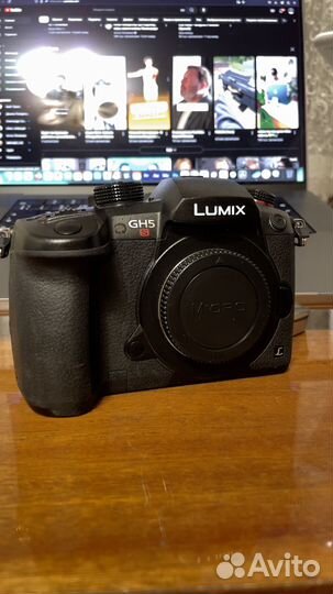 Panasonic lumix gh5s