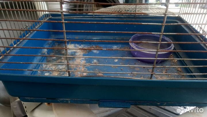 Клетка для птиц