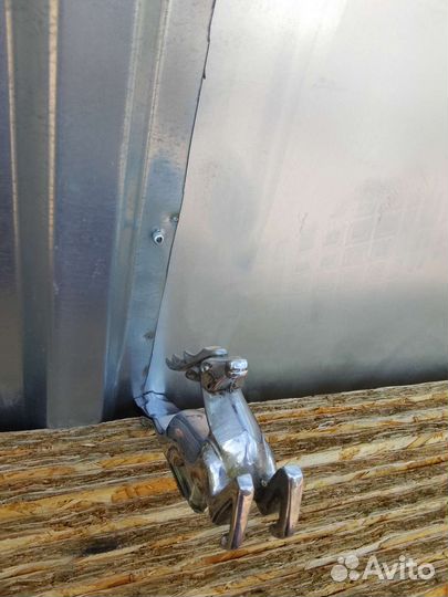 Олень на Волгу 21