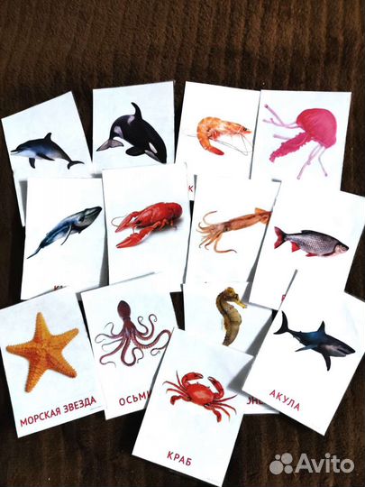 Карточки Домана