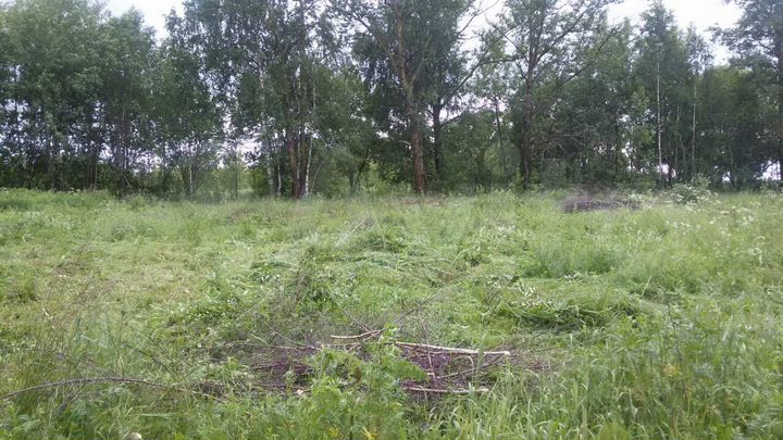 Участок 27 сот. (СНТ, ДНП)