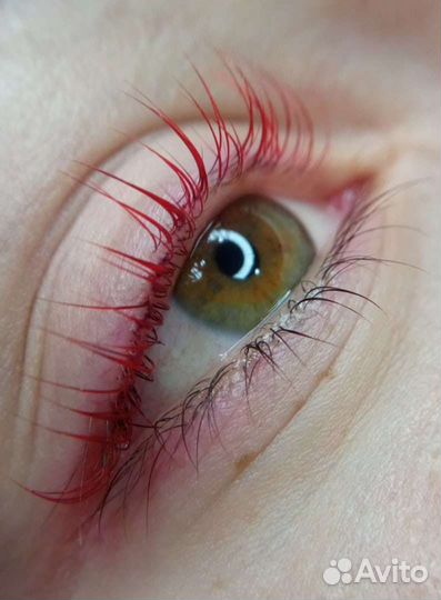 Ламинирование бровей и ресниц