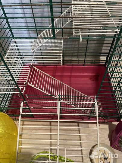 Клетка для шиншиллы