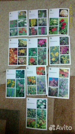 Наборы открыток: в мире животных (неполный), город