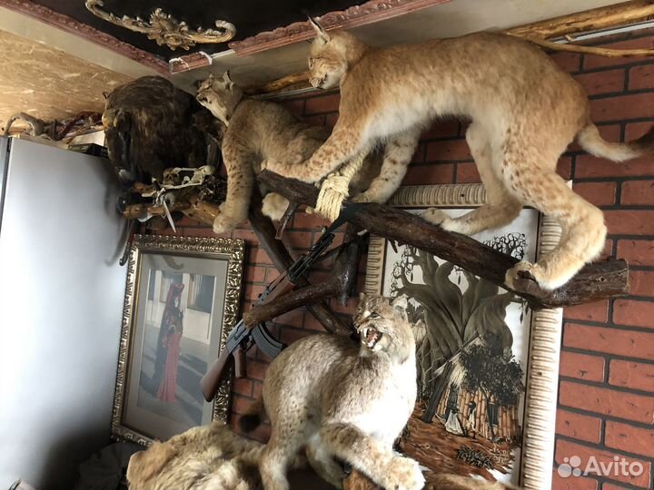 Рысь имитация