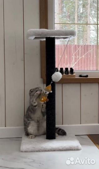 Когтеточка для кошек