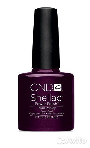 Shellac CND