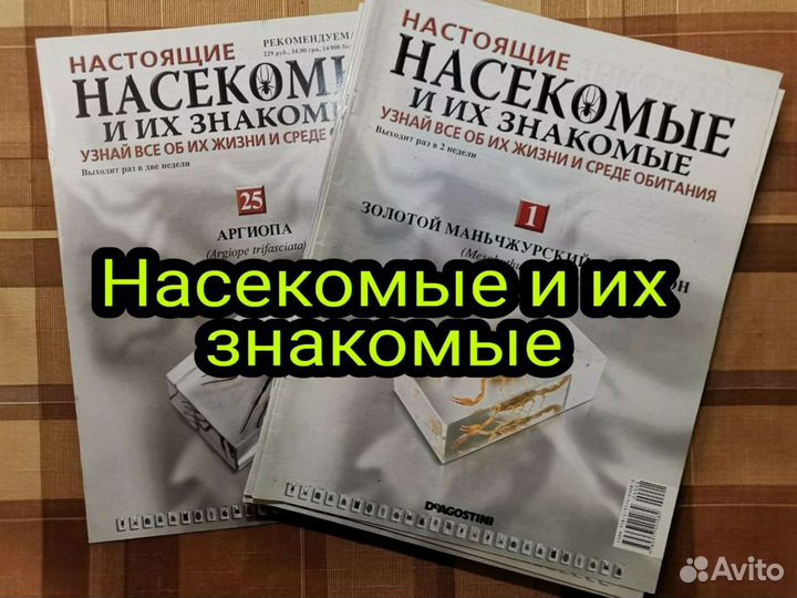 Насекомые и их знакомые