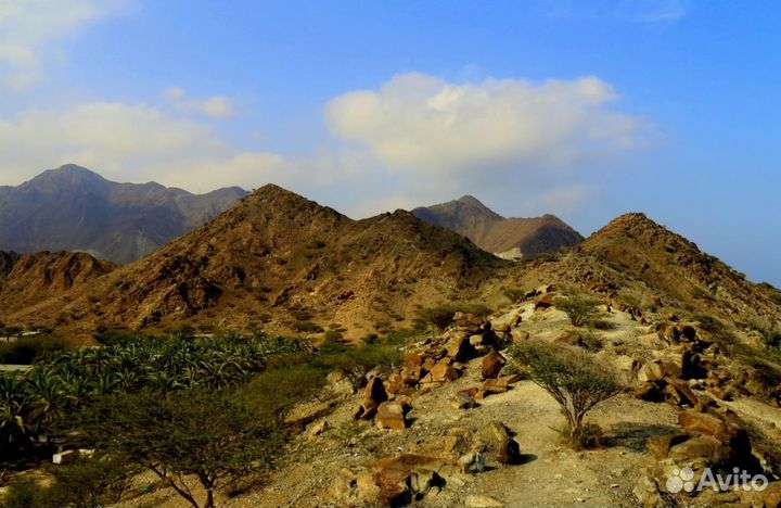 Тур поездка Фуджейра, ОАЭ от 1-го чел