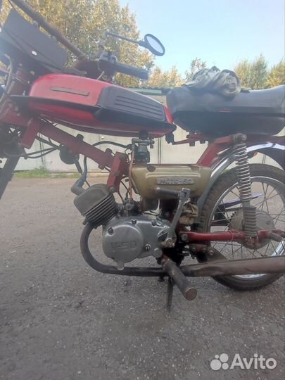 Верховина 6